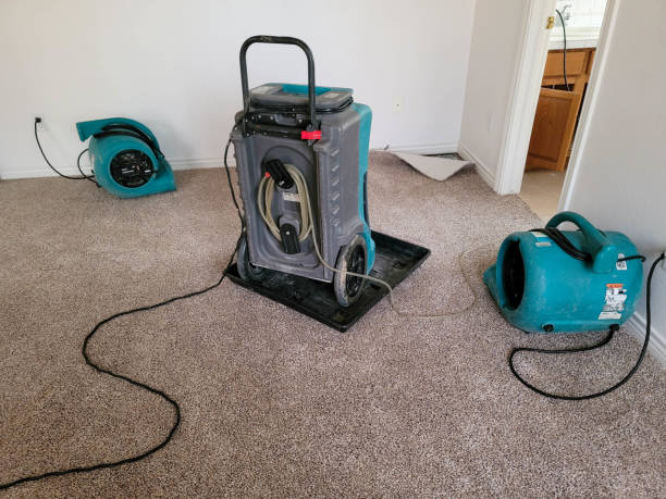 Best Local water damage restoration  in Orfordville, WI