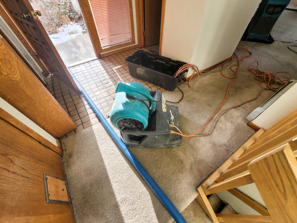 Best Residential water damage restoration  in Orfordville, WI