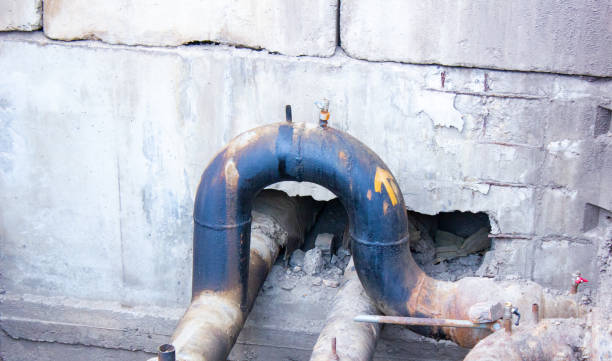 Best Carpet water damage restoration  in Orfordville, WI